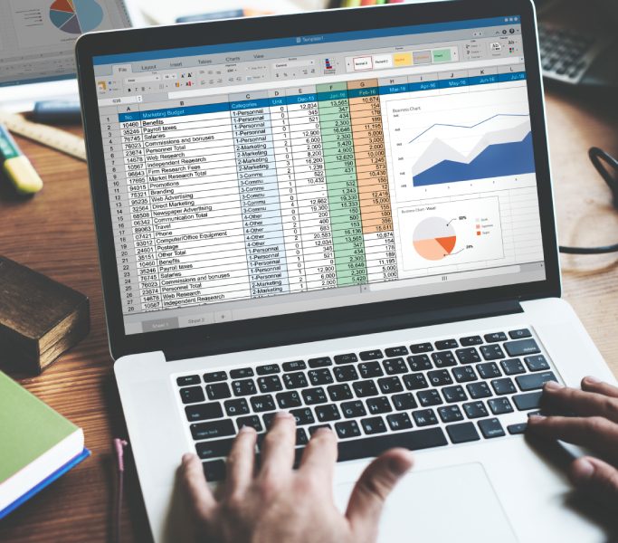 excel pentru avansati img